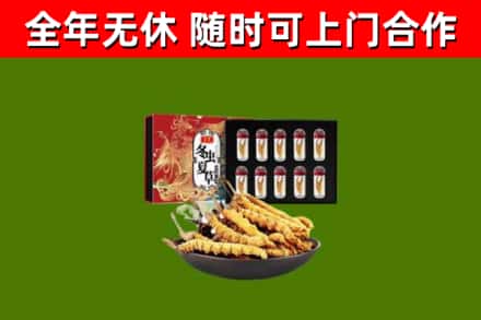 叶县回收冬虫夏草价格